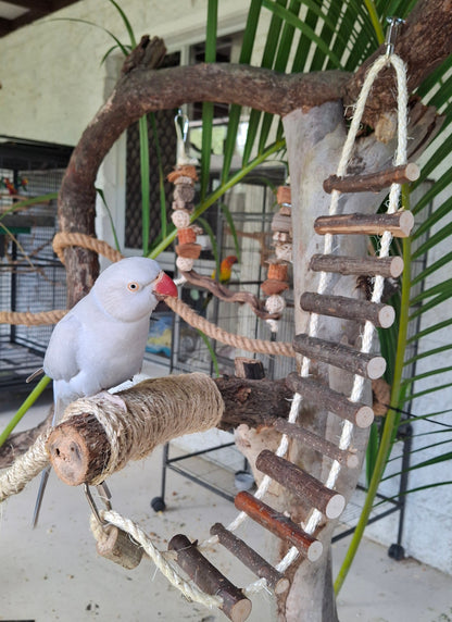 Sisal Rope Bridge