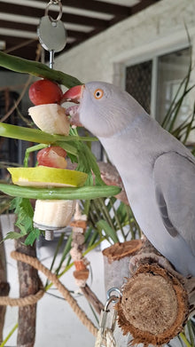 Metal Fruit & Veggie Skewer