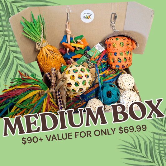 Medium Parrot Ripper Box