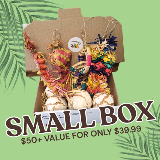 Small Parrot Ripper Box