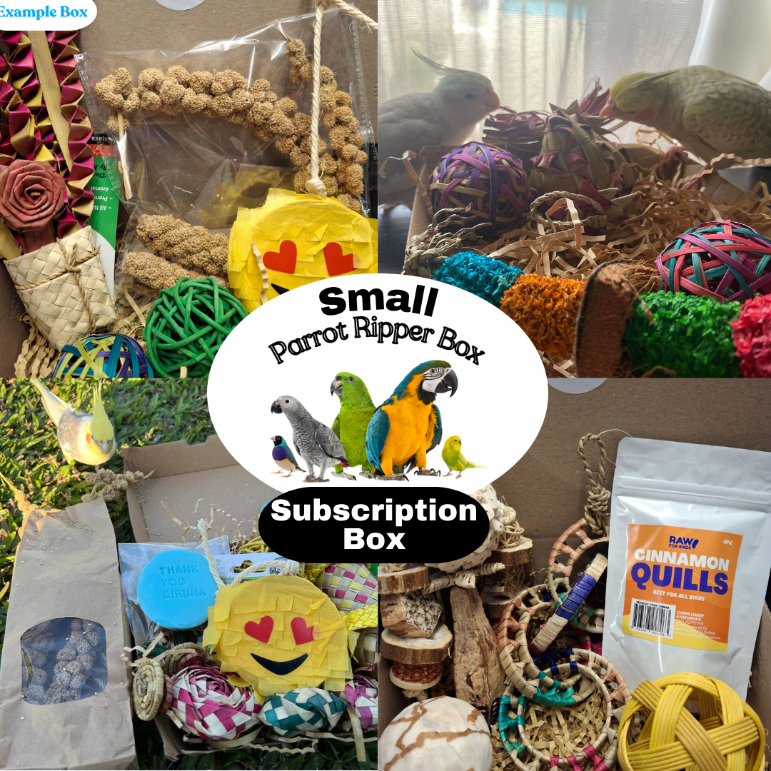 Small Parrot Ripper Subscription Box