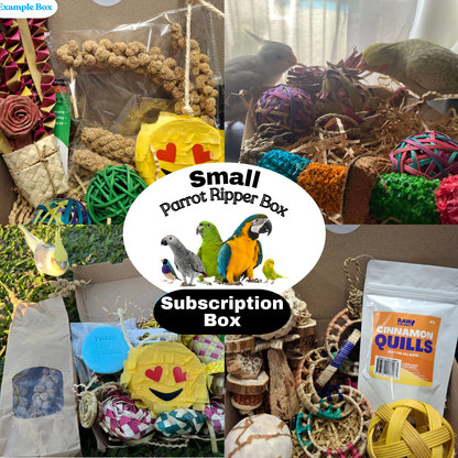 Small Parrot Ripper Subscription Box