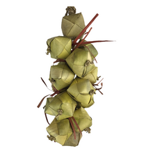Vined Palm Nuts