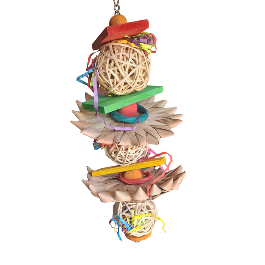 Palm Munch and Crunch