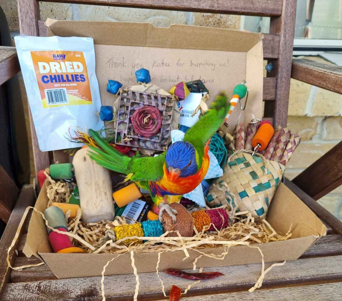 Medium Parrot Ripper Box