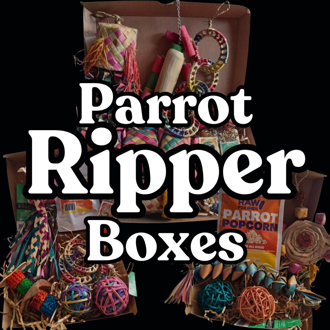 Pixie Paws Pets | Bird Shop | Aussie Owned | Afterpay & Klarna