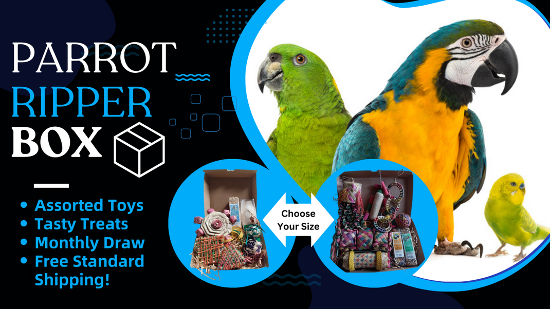 Pixie Paws Pets | Bird Shop | Parrot Ripper Box | Aussie Owned