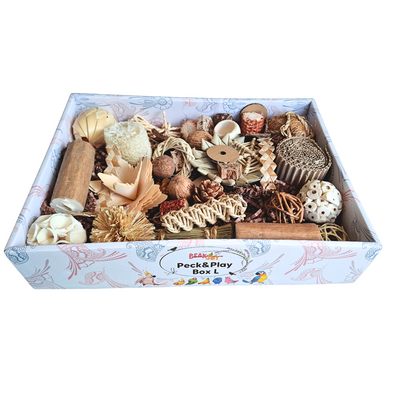 Beak Joy Peck n Play Forage Box