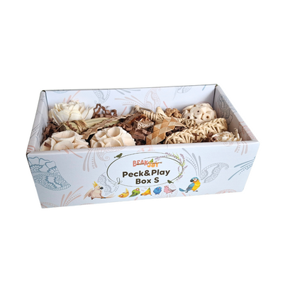 Beak Joy Peck n Play Forage Box