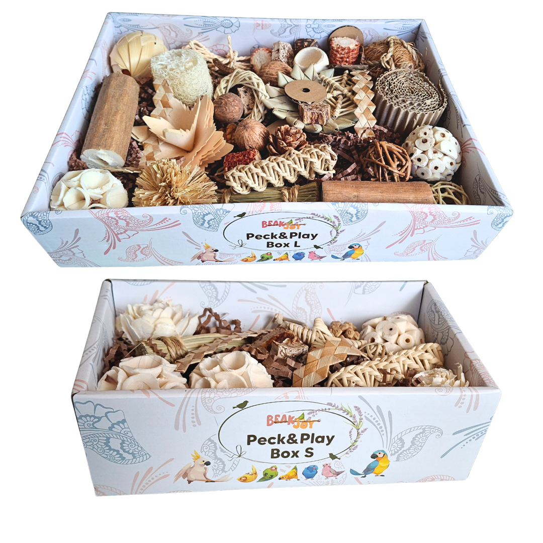 Beak Joy Peck n Play Forage Box
