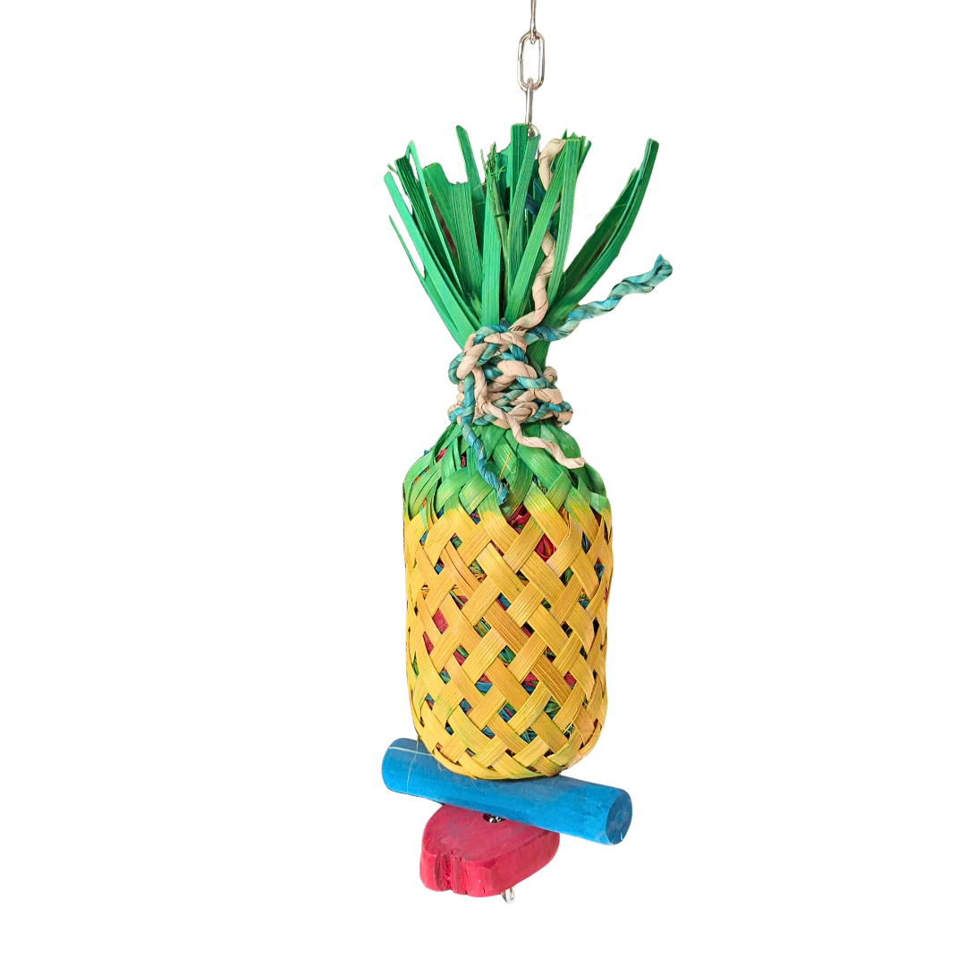 Pineapple Forager