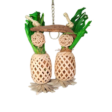Pineapple Paradise Forager
