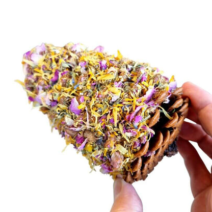 Raw for Birds Floral Pinecones Chews 2 Pk