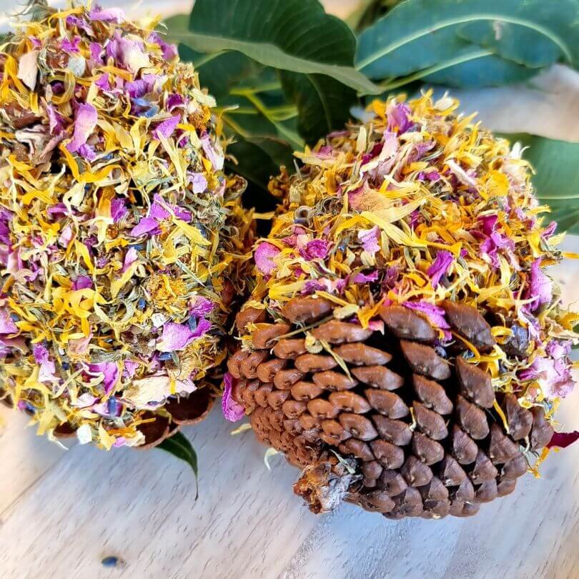 Raw for Birds Floral Pinecones Chews 2 Pk