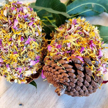 Raw for Birds Floral Pinecones Chews 2 Pk