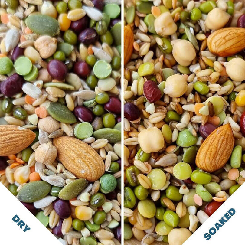 Raw for Birds Chunky Soaking Blend 250g
