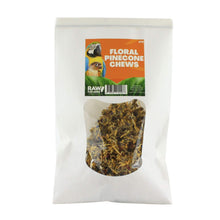 Raw for Birds Floral Pinecones Chews 2 Pk