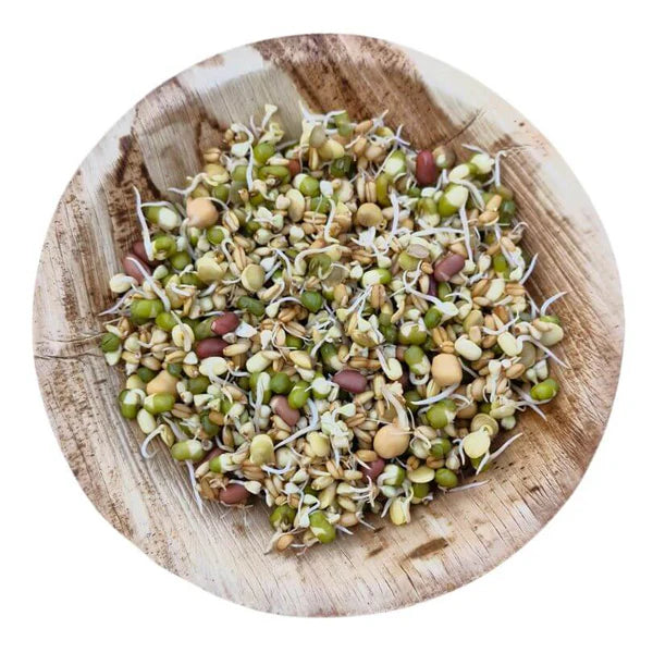 Raw for Birds Sunflower Free Sprouting Blend 500g (Excl. TAS & WA)