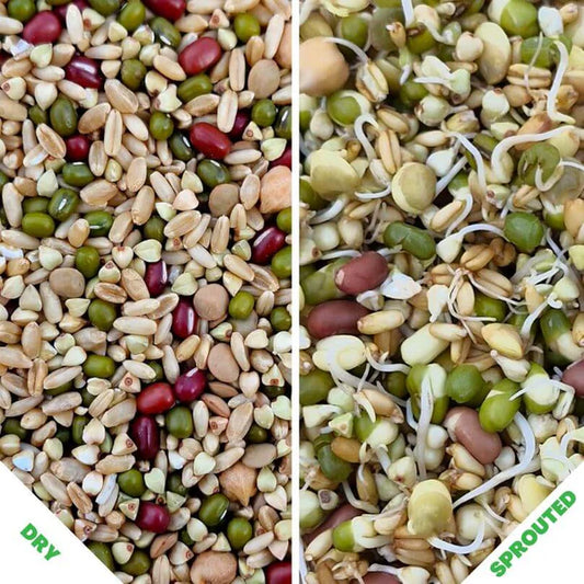 Raw for Birds Sunflower Free Sprouting Blend 500g (Excl. TAS & WA)