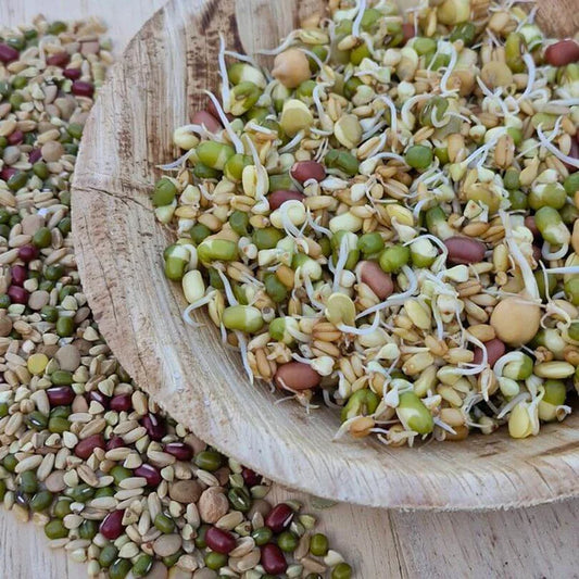 Raw for Birds Sunflower Free Sprouting Blend 500g (Excl. TAS & WA)