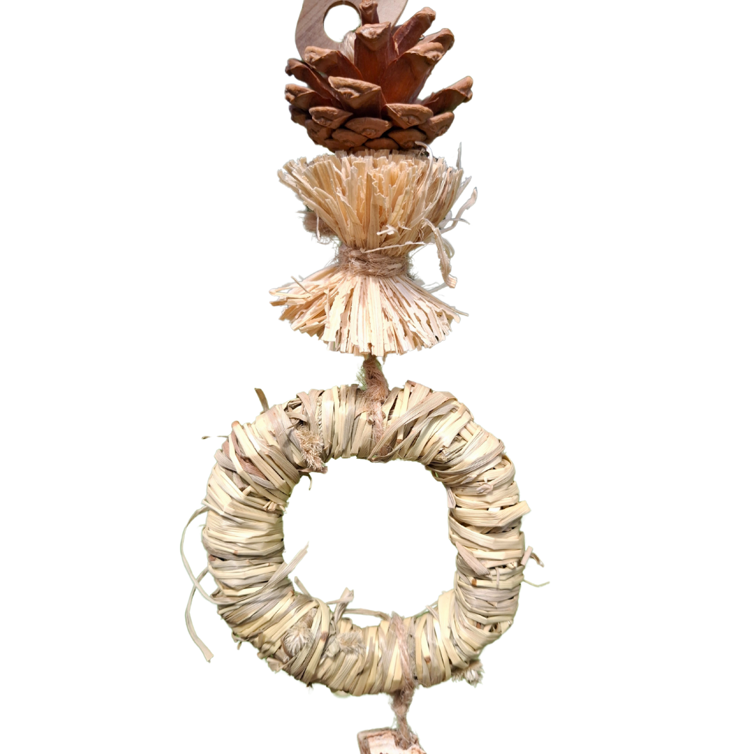 Ring n Pom Pom Nibble