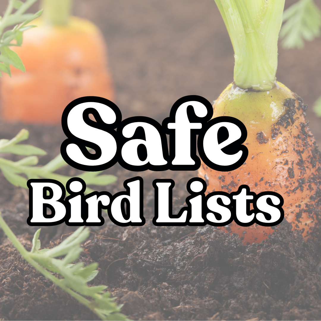 Safe Bird Lists