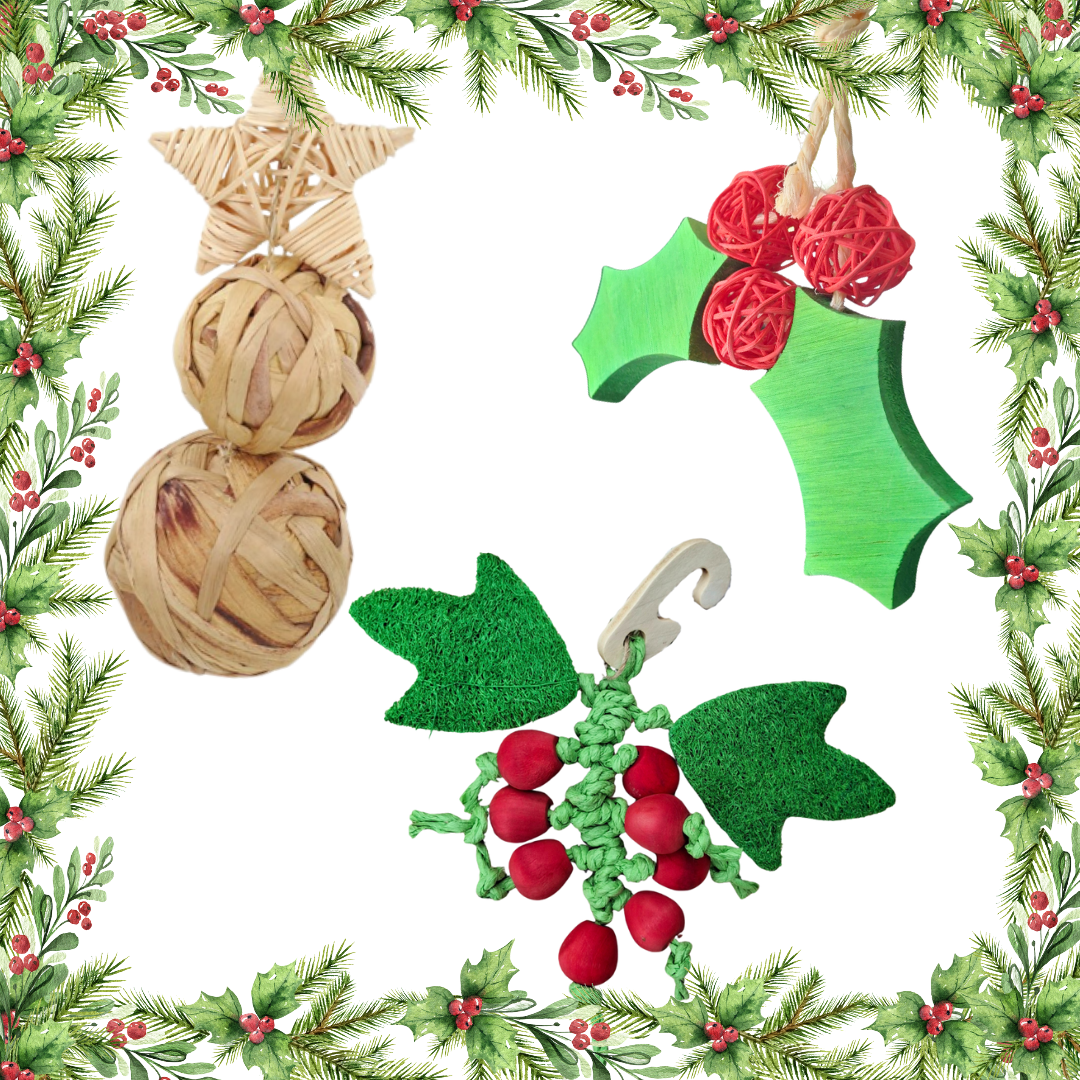 Santa's Coming to Town Trio