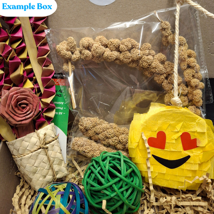 Small Parrot Ripper Box