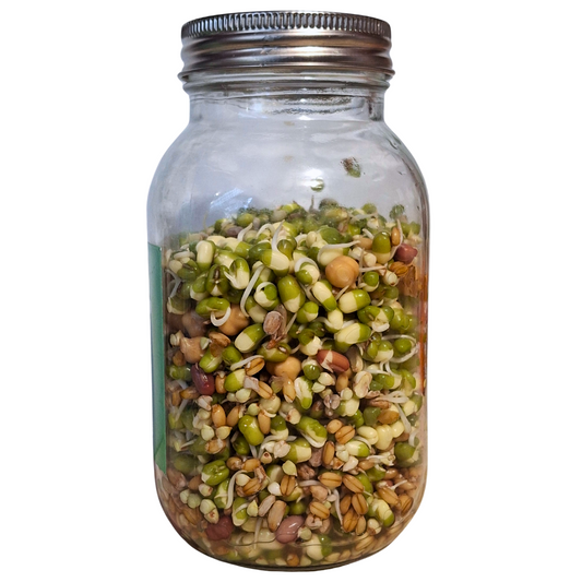 Raw For Birds Beginners Sprouting Jar