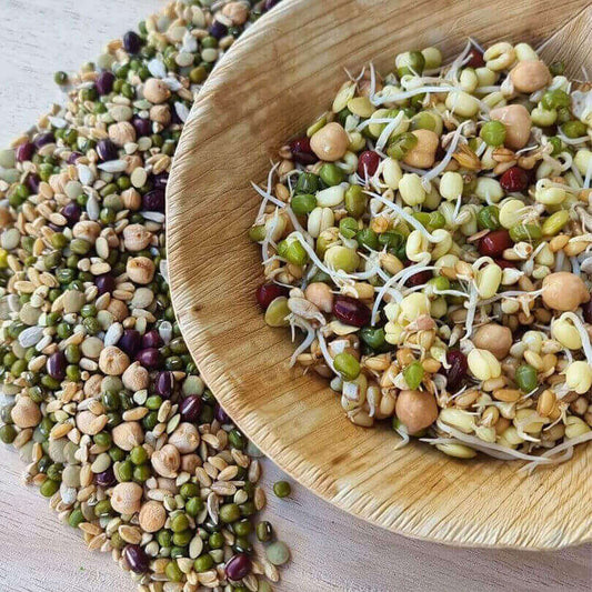 Raw for Birds Sprouting Blend 250g (Excl. TAS & WA)