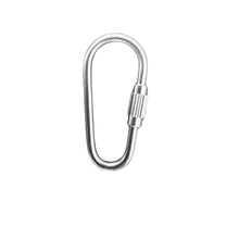 Stainless Steel Pear Link
