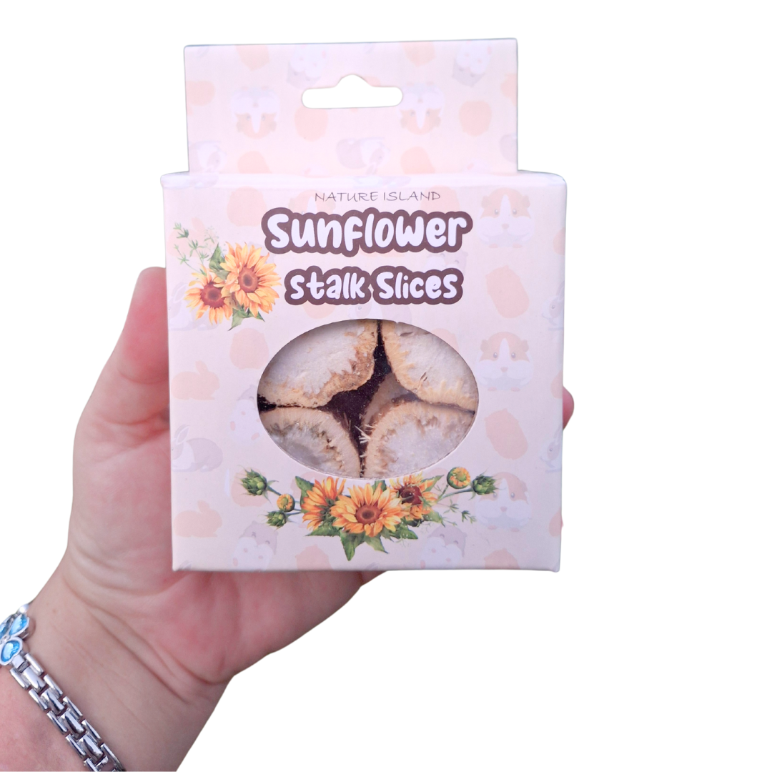 Sunflower Stalk Slices