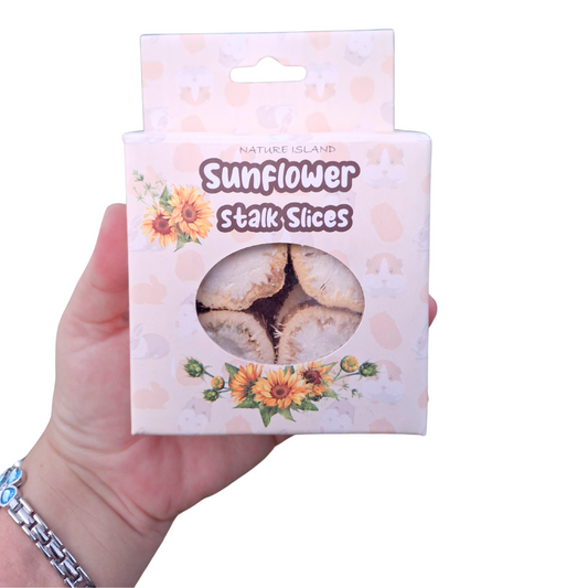 Sunflower Stalk Slices