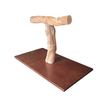 Java & Liana Parrot T Stand - 161