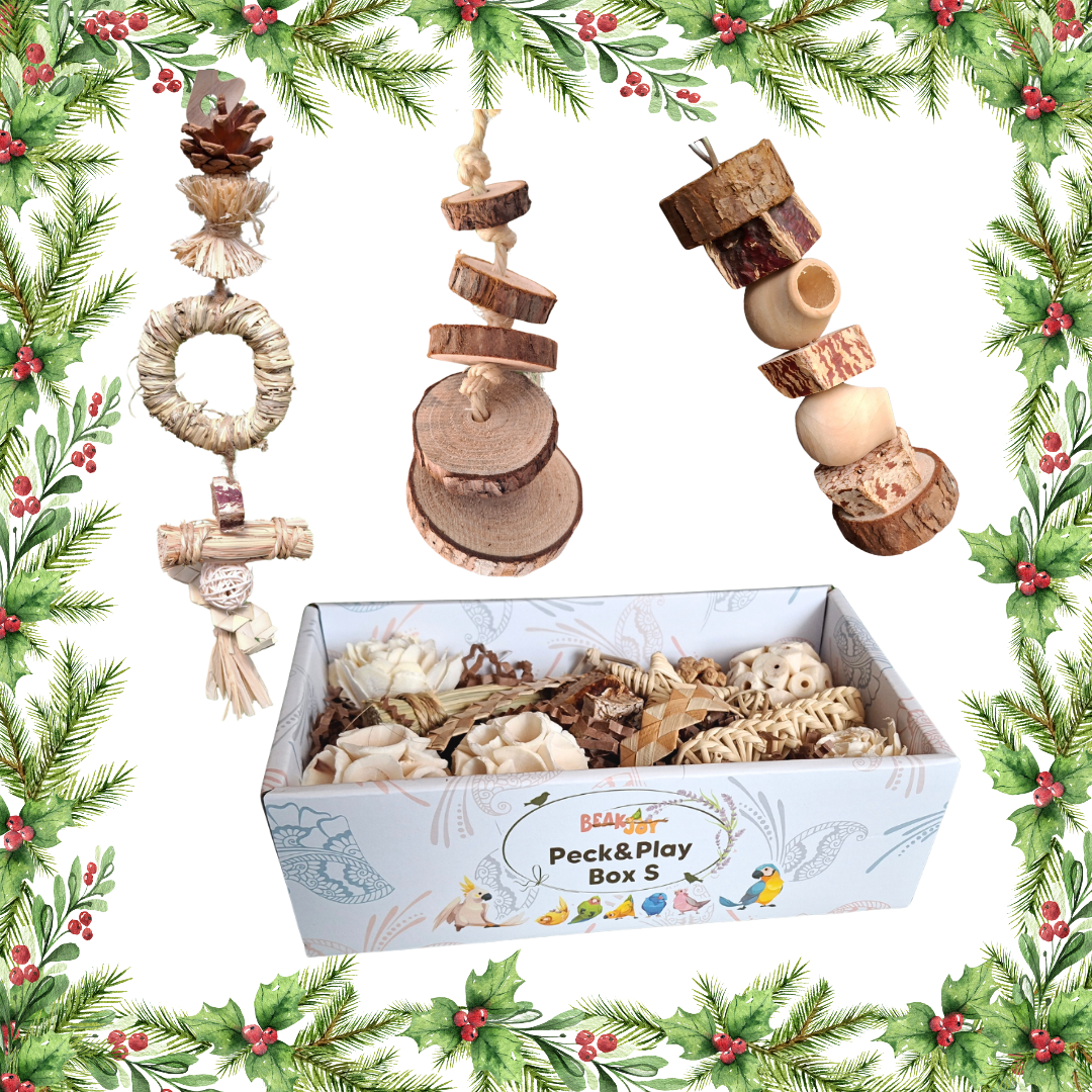 The Small Birds Forage & Play Pack