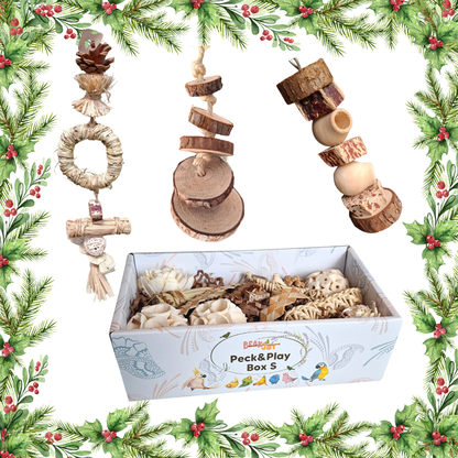 The Small Birds Forage & Play Pack