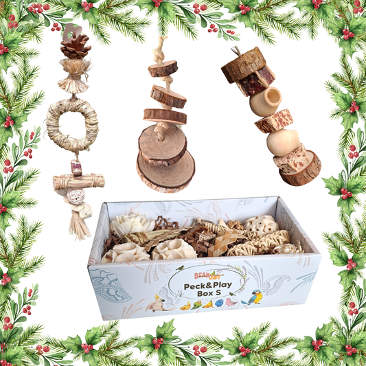 The Small Birds Forage & Play Pack