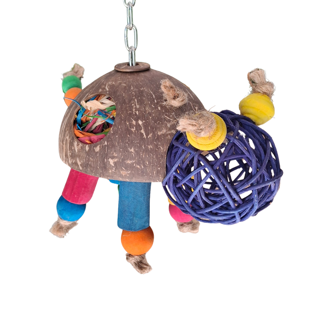 Turtle Forager