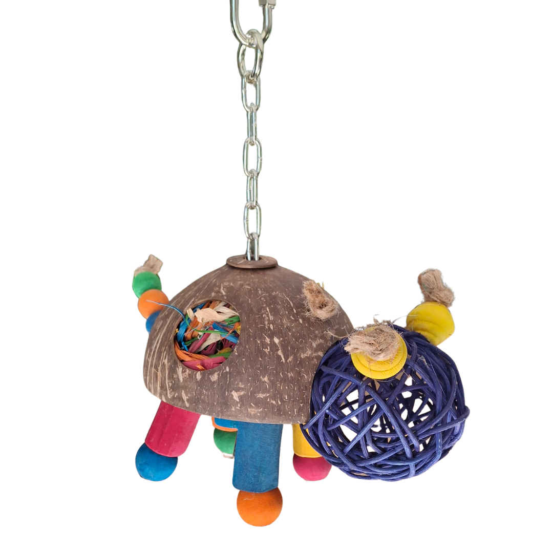 Turtle Forager