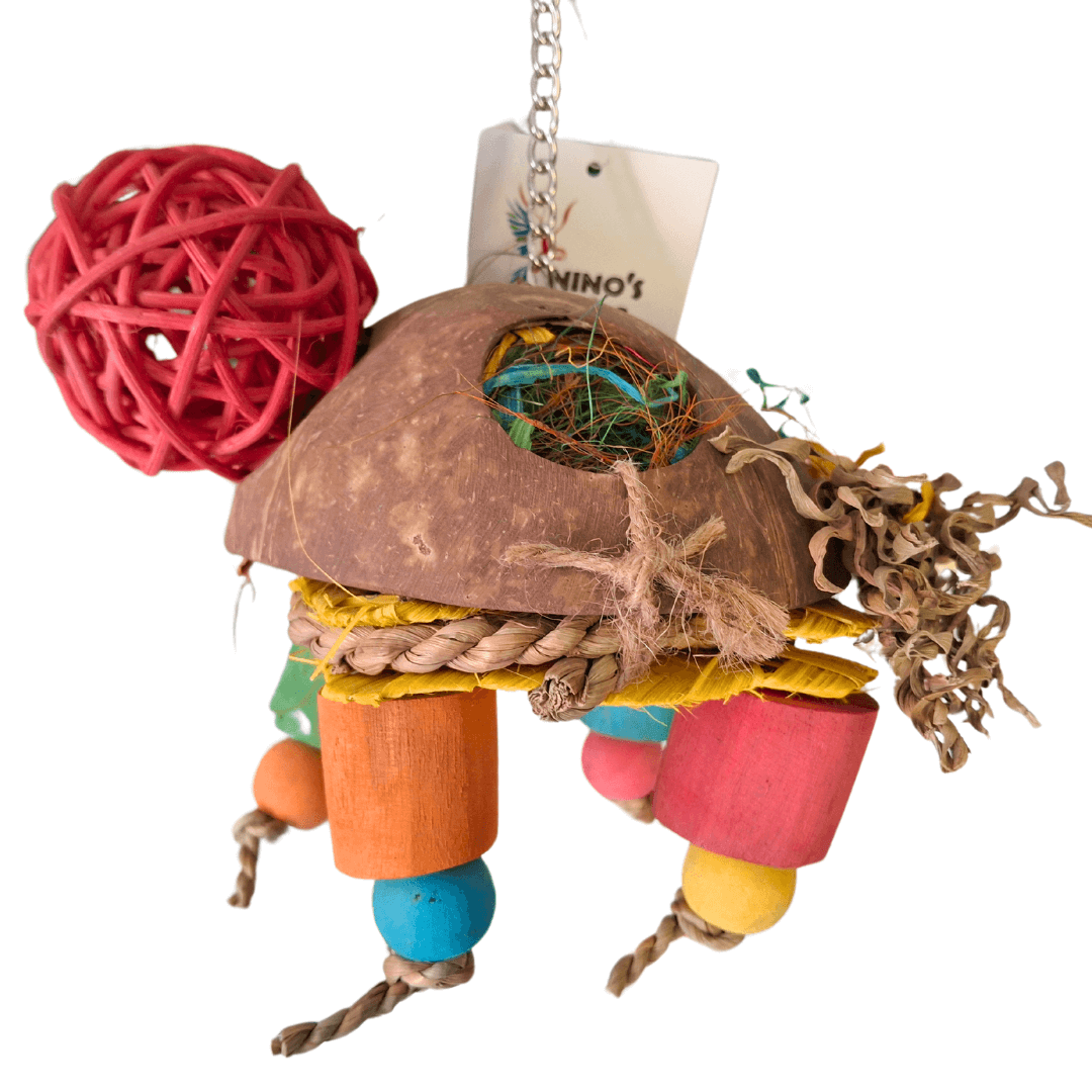 Turtle Forager