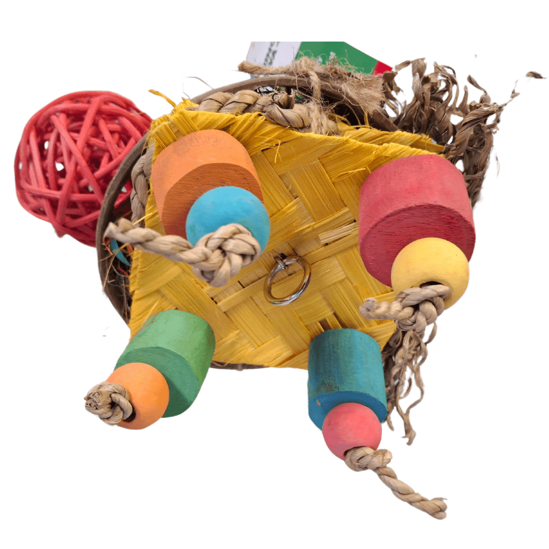 Turtle Forager