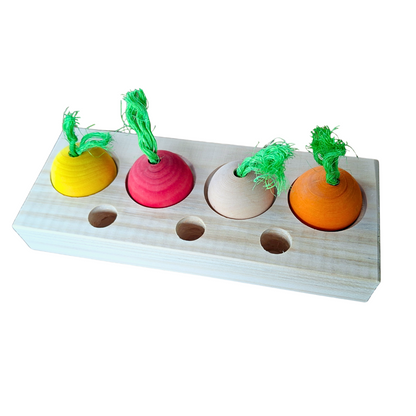 Veggie Patch Puzzle Play