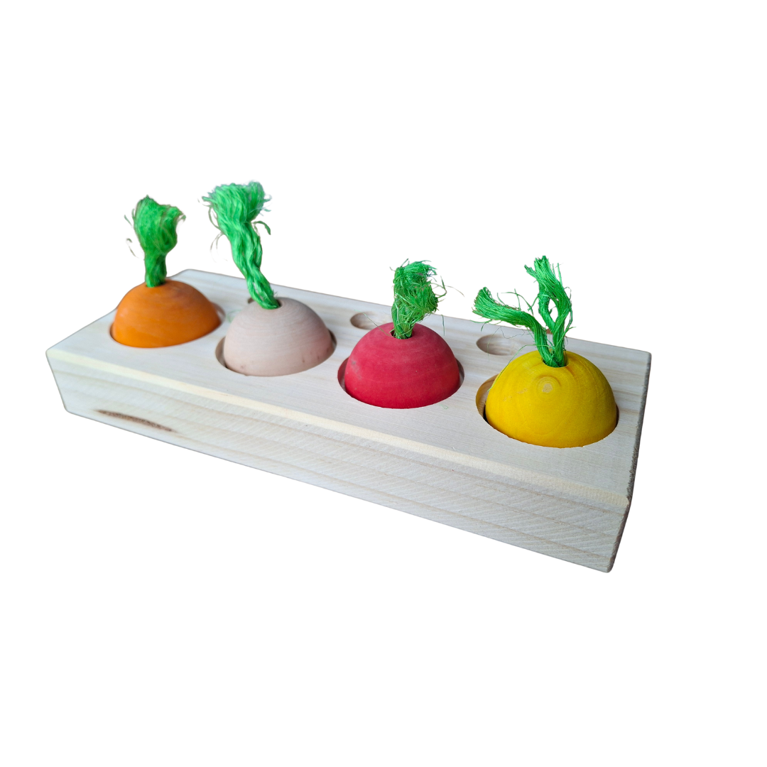 Veggie Patch Puzzle Play