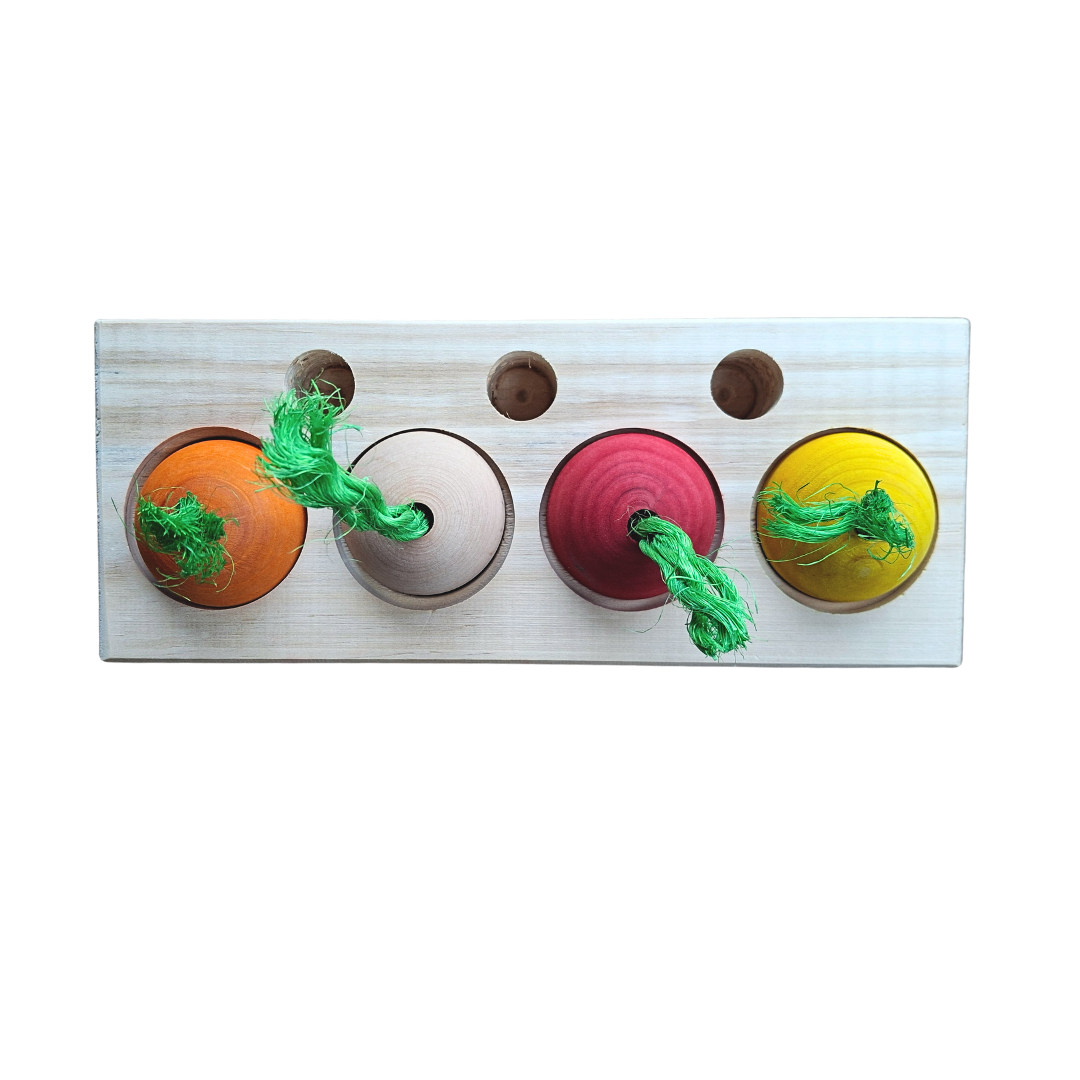 Veggie Patch Puzzle Play