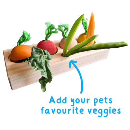 Veggie Patch Puzzle Play
