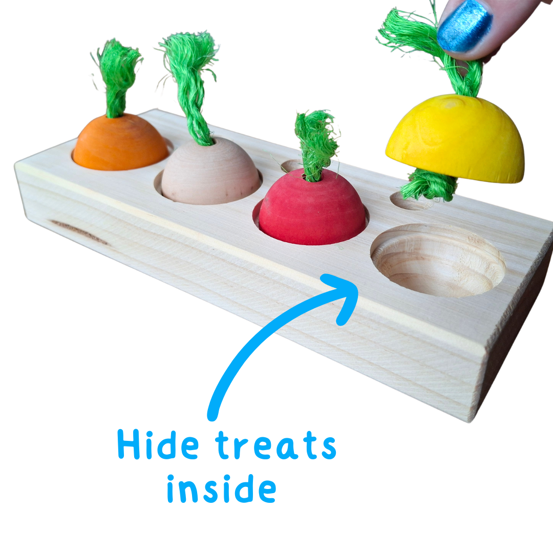 Veggie Patch Puzzle Play