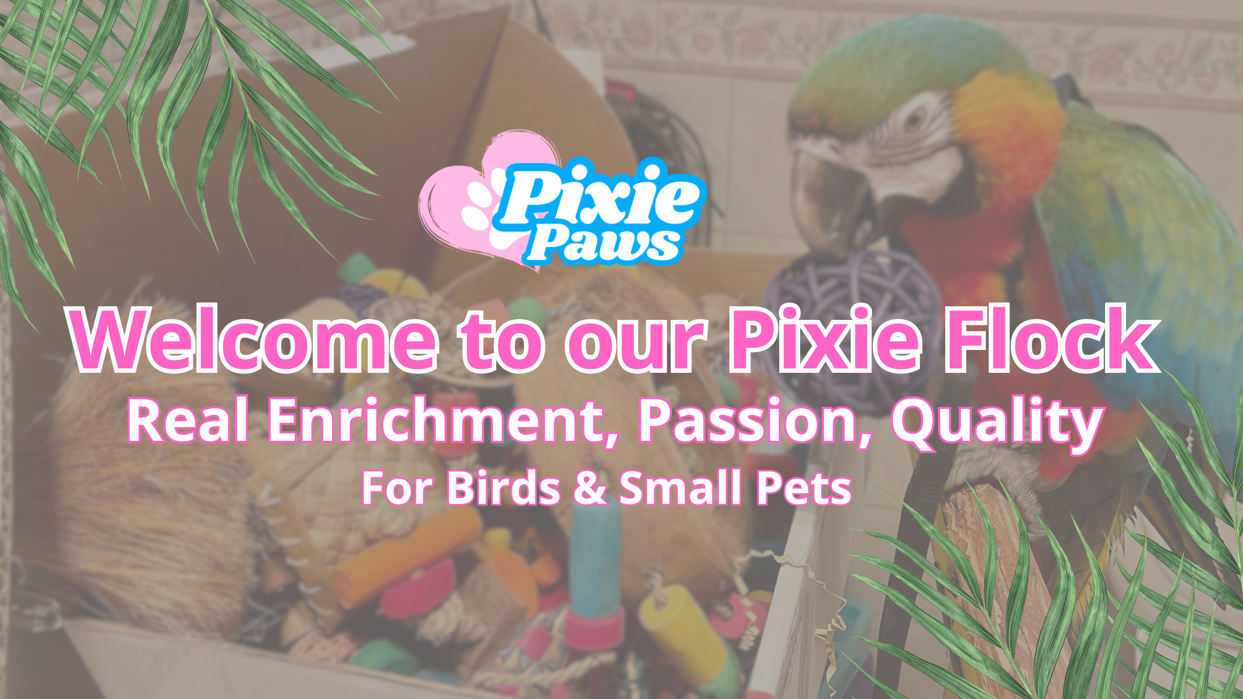 Pixie Paws Pets - Birds and Small Pets Supply Store