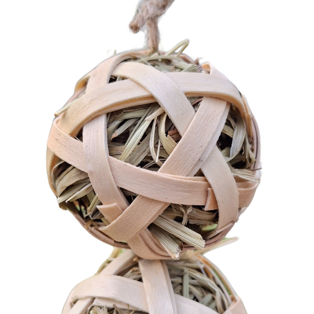 Wild Forage Balls 2pk