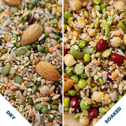 Raw for Birds Flock Soaking Blend 250g (Excl. TAS & WA)