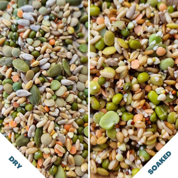 Raw for Birds Petite Soaking Blend 250g (Excl. TAS & WA)
